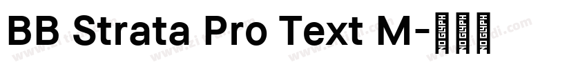 BB Strata Pro Text M字体转换